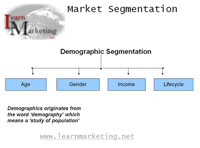 Demographic Segmentation Diagram